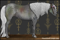 Horse Color:Silver Smoky Black Chinchilla 