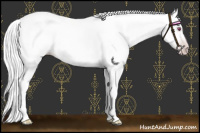 Horse Color:Silver Classic Champagne Chinchilla Dun Rabicano 