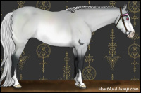 Horse Color:Silver Bay Chinchilla Sabino