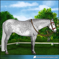 Horse Color:Silver Smoky Grullo Chinchilla 