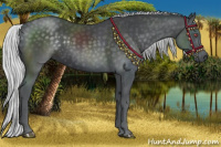 Horse Color:Silver Black Chinchilla 