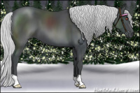 Horse Color:Silver Black Chinchilla