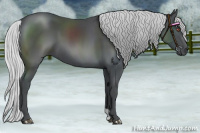 Horse Color:Silver Black Chinchilla 