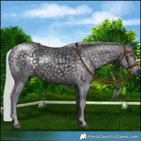 Horse Color:Silver Smoky Black Chinchilla 