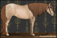Horse Color:Buckskin Pearl 