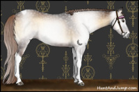 Horse Color:Gray Liver Red Onyx Tobiano 