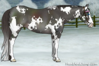 Horse Color:Platinum White Spotted Liver Chestnut Splash 