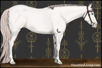 Horse Color:Platinum Buckskin Pearl Sabino