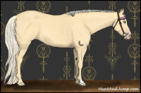 Horse Color:Gold Cream Champagne 