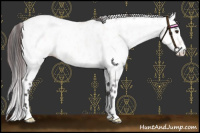 Horse Color:Platinum White Spotted Buckskin Dun Near Leopard 