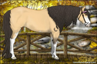 Horse Color:Buckskin Dun Sabino 