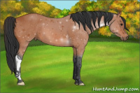 Horse Color:ERROR: UNKNOWN ANOMALY