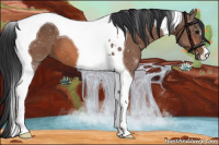 Horse Color:Bay Tobiano
