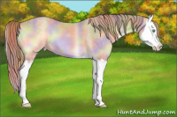 Horse Color:Nacre Perlino Roan Onyx Sabino Splash