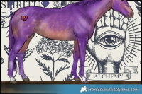 Horse Color:Watercolor Buckskin