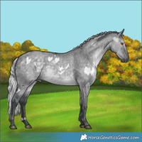 Horse Color:White Spotted Silver Grullo Chinchilla Brindle 