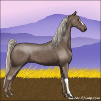 Horse Color:Silver Black 