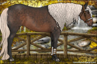 Horse Color:Liver Chestnut Mushroom 