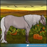 Horse Color:Chocolate Silver Grullo Chinchilla Rabicano