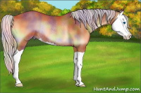 Horse Color:Nacre Silver Bay Onyx Splash Rabicano