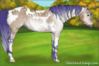 Horse Color:Gray Watercolor Bay Tobiano
