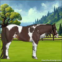 Horse Color:Liver Chestnut Sabino Tobiano 