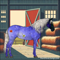 Horse Color:ERROR: UNKNOWN ANOMALY