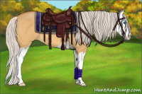 Horse Color:Chocolate Silver Buckskin Dun Sabino Splash 