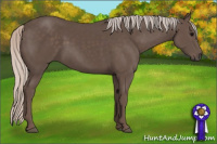 Horse Color:Silver Black 