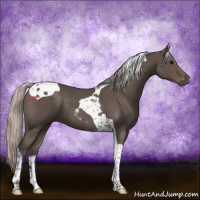 Horse Color:Silver Black Tobiano