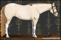 Horse Color:Buckskin Roan Pearl 