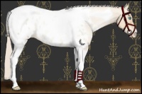 Horse Color:Palomino Pearl Tobiano Blanket 