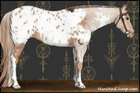 Horse Color:White Spotted Red Roan Blanket 