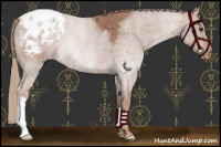Horse Color:Red Roan Snowflake Varnish 