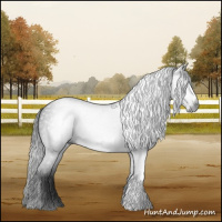 Horse Color:Gray Black 