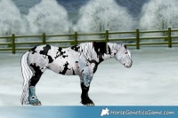 Horse Color:Watercolor White Spotted Silver Brown Chinchilla Ice 
