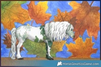Horse Color:Painted Watercolor White Spotted Silver Brown 