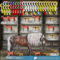 Horse Color:Watercolor White Spotted Silver Brown Ice Frame