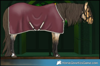 Horse Color:Buckskin Roan 