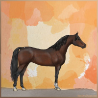 Horse Color:Brown Sabino Tobiano Rabicano 