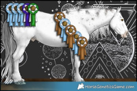 Horse Color:Bay Sabino Splash 