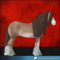 Horse Color:White Spotted Classic Champagne Tobiano