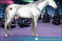 Horse Color:Gray Sable Champagne Roan Varnish 