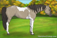Horse Color:Smoky Grullo Tobiano 