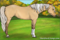 Horse Color:Silver Buckskin Dun Tobiano