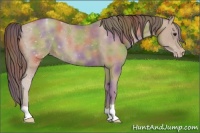 Horse Color:Nacre Classic Champagne