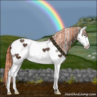 Horse Color:Painted White Spotted Liver Chestnut