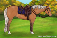 Horse Color:Silver Bay 