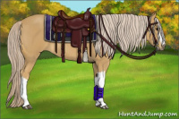 Horse Color:Palomino Roan 