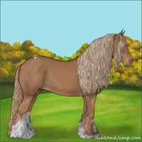 Horse Color:Chestnut Tobiano Rabicano